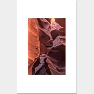 Turtle Wall In Lower Antelope Canyon Posters and Art